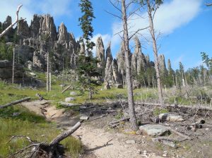 Cathedral Spires in Custer State Park